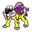 Icon of Raikou
