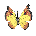 Icon of Vivillion Continental