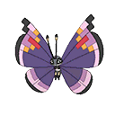 Icon of Vivillion Elegant