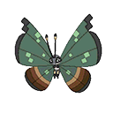 Icon of Vivillion Jungle