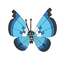 Icon of Vivillion Marine