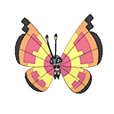 Icon of Vivillion Sun