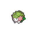 Icon of Shaymin