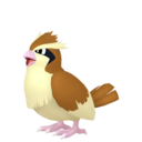 Icon of Pidgey